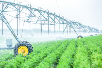 Wall Mural - plant watering system at idustrial farm outside