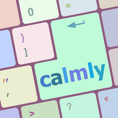 Poster - calmly key on computer keyboard button vector illustration