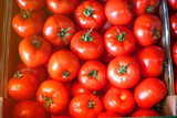Fototapeta Kuchnia - Ripe tomatoes at a farmer's market