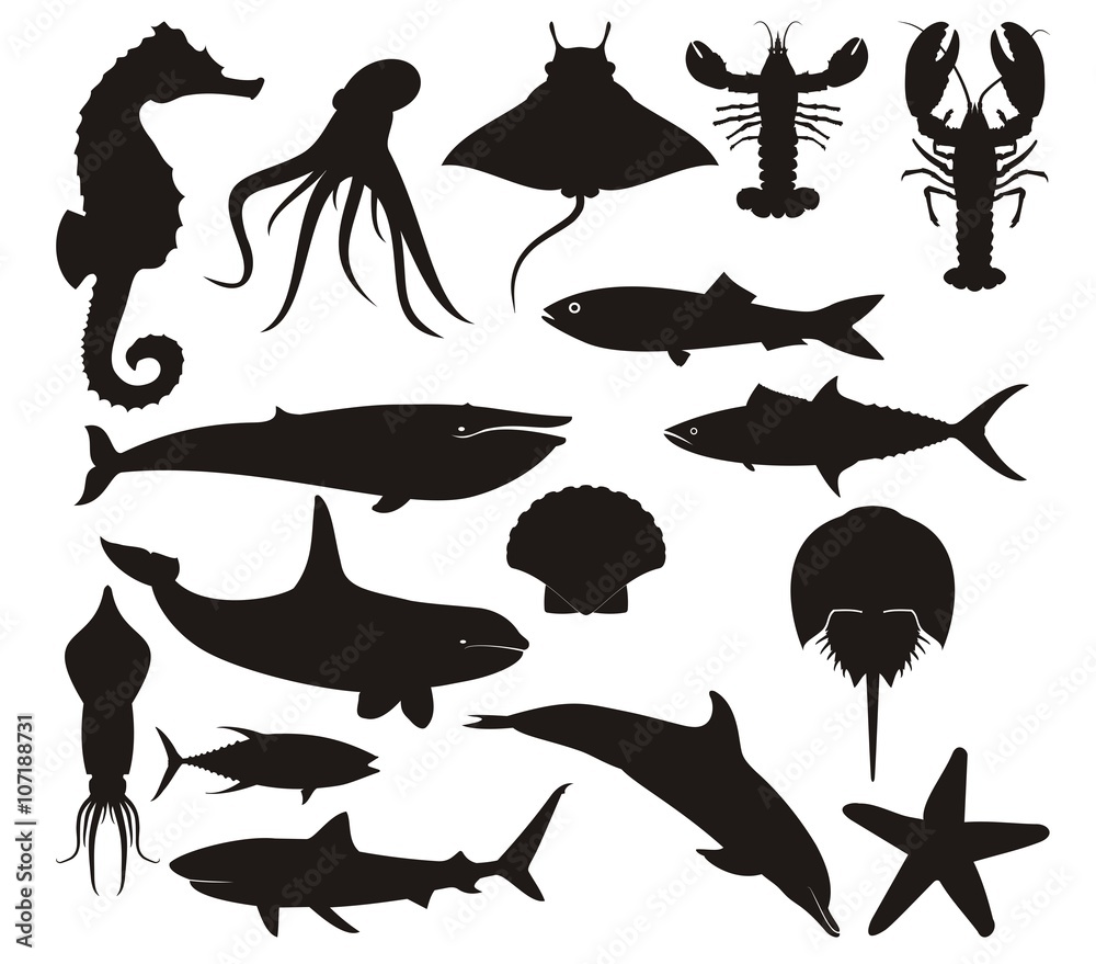 Sea animals vector set - obrazy, fototapety, plakaty 