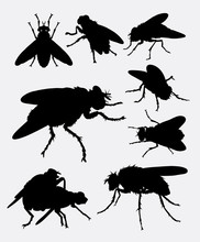 Flies Insect Animal Silhouette. Good Use For Symbol, Logo, Web Icon, Mascot, Sign, Sticker Design, Or Any Design You Want.