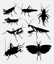 Grasshopper And Cricket Insect Animal Silhouette. Good Use For Symbol, Logo, Web Icon, Mascot, Sticker, Or Any Design You Want. Easy To Use.