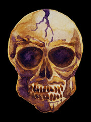 human skull skeleton watercolor painting, abstract grunge art
