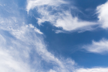 Wall Mural - clouds in blue sky