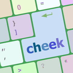 Poster - cheek button on computer pc keyboard key vector illustration