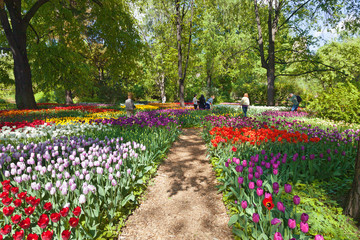 Spring landscape in Moscow.