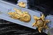 Paris, décor doré sur l'arche du pont Alexandre III, France