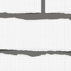 Poster - Pieces of torn white squared notebook paper with margin sticked on gray background