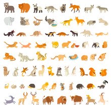 Mammals Of The World. Extra Big Animals Set. Vector Illustration, Isolated On A White Background