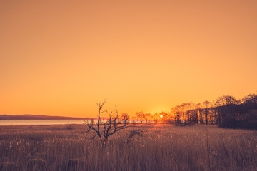 Wall Mural - sunrise over a lake