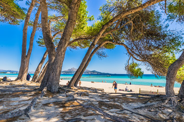 Wall Mural - Summer Sun Beach Alcudia Majorca Spain