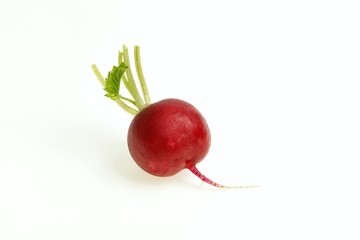 Wall Mural - Red radish bulb, on white background.