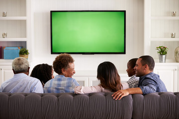 Wall Mural - Multi generation family watching TV and laughing, back view