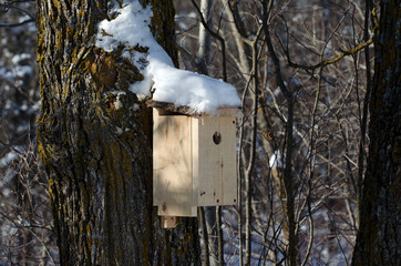 Bluebird nesting box.