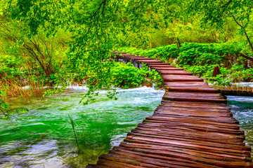 Poster - Wooden path in National Park in Plitvice