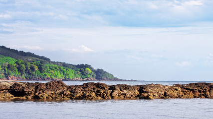 Canvas Print - Sea Low Tide 