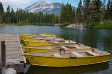 Yellow Rowboats At The Dock On The Lake With Pine Trees