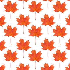 Wall Mural - pattern maple leaf red autumn