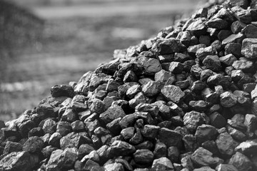 Wall Mural - Heap of coal. A place, where coal is stored for selling.
