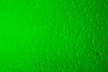 Texture Water Drops On The Green Bottle Close-up As A Background.