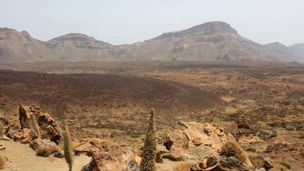 Wall Mural - Teide National Park in Tenerife at Canary Islands of Spain