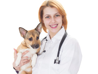 Wall Mural - Veterinarian and dog