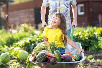 little child girl inside wheelbarrow with vegetables in the garden