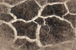 © Cozine - the Grungy dirt cement wall textured background