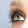 © Serg Zastavkin - Woman female eye