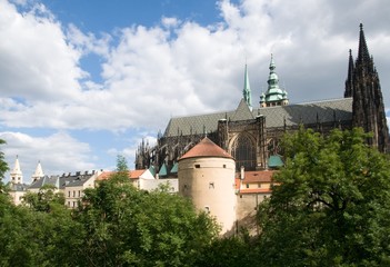 Wall Mural - Prague castle from Royal garden, Prague, Czech republic