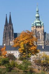 Wall Mural - Prague castle from hill Petrin, Prague, Czech republic