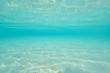© divedog - clear water