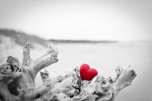 Red Heart In A Tree Trunk On The Beach.. Love Symbol. Red Against Black And White
