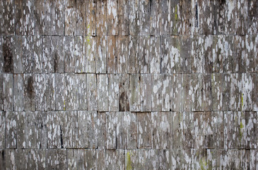 Old wooden wall