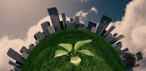 Poster - Composite image of little green seedling with leaves growing