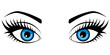 Female blue eyes isolated on white background