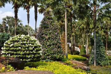 Tropical plants in Asian Park 