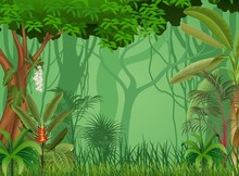 Illustration Of Forest Background 