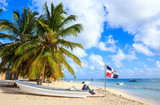 Fototapeta Sawanna - Caribbean beach in Dominican Republic