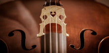 Cello Strings Closeup