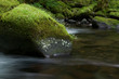 Mossy Stone in a Creek