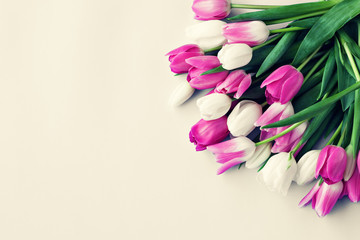 Wall Mural - Pink and white tulips over beige background