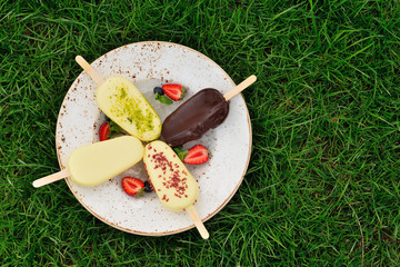 plate of ice cream on the grass. Glazed colorful popsicle. Summe