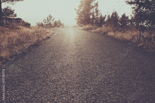 Fotografia, Obraz This photo '' Amazing street nature view''