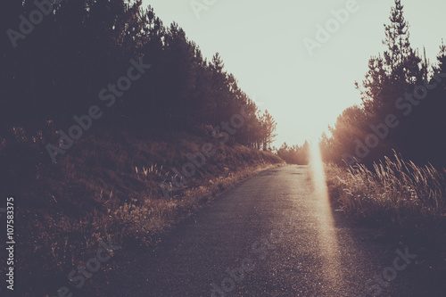 Fotografia, Obraz This photo '' Amazing street nature view''