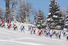 LIBEREC, CZECH REPUBLIC - APRIL 3, 2016: Group Of Cross Country Skiers Running In Forest For A Win. Race Runners At He The Start Of Winter Cross-country Tracks Trail.