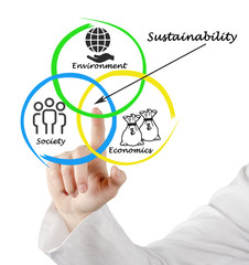 Wall Mural - Presentation of diagram of sustainability