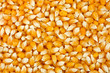 Yellow popcorn kernels