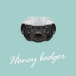 Vector Illustrated portrait of Honey badger.