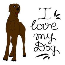 Brown Dog. I Love My Dog Hand Lettering Quote.